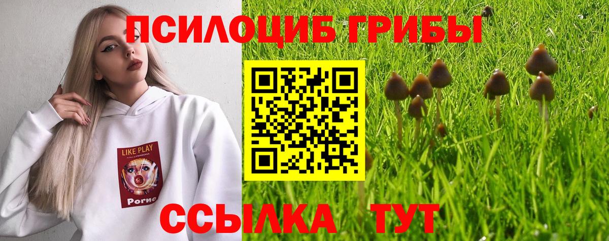 Псилоцибиновые грибы мухоморы  Галлюциногенные грибы MAGIC MUSHROOMS  Вход с VPN  Ишим 