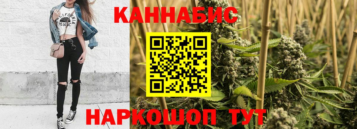 Бошки Шишки план Ишим